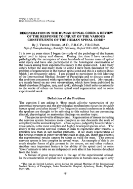 Regeneration in the Human Spinal Cord: a Review of the Response to Injury of the Various Constituents of the Human Spinal Cord*