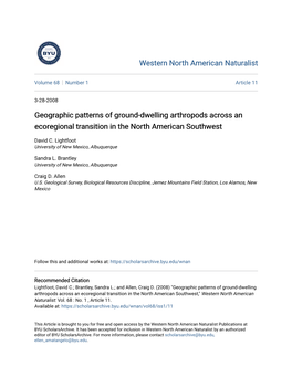 Geographic Patterns of Ground-Dwelling Arthropods Across an Ecoregional Transition in the North American Southwest