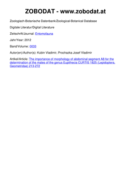 The Importance of Morphology of Abdominal Segment A8