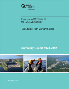 Evolution of Fish Mercury Levels