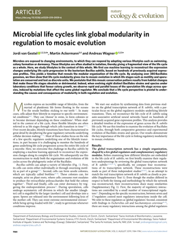 Microbial Life Cycles Link Global Modularity in Regulation to Mosaic Evolution