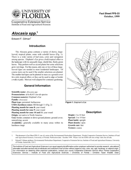 Alocasia Spp.1