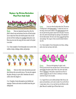 Beginner Age Division Horticulture Plant Parts Study Guide Roots