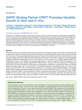 SAP97 Binding Partner CRIPT Promotes Dendrite Growth in Vitro and in Vivo