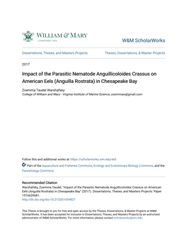 Impact of the Parasitic Nematode Anguillicoloides Crassus on American Eels (Anguilla Rostrata) in Chesapeake Bay