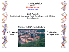 Nucleic Acids Historical View