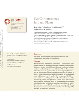 Sex Chromosomes in Land Plants