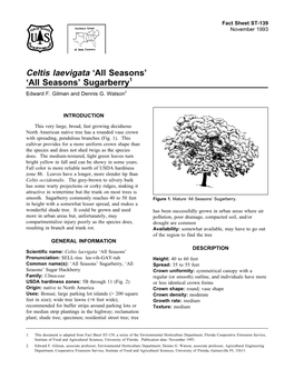 Celtis Laevigata ‘All Seasons’ ‘All Seasons’ Sugarberry1 Edward F