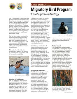 Migratory Bird Program Focal Species Strategy