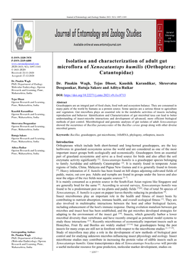 Isolation and Characterization of Adult Gut Microflora of Xenocatantops