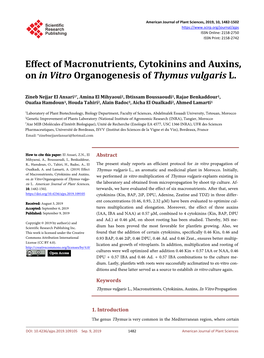 Effect of Macronutrients, Cytokinins and Auxins, on in Vitro Organogenesis of Thymus Vulgaris L