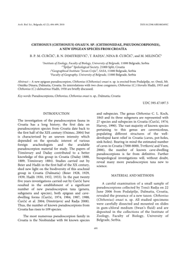 Chthonius (Chthonius) Onaei N. Sp. (Chthoniidae, Pseudoscorpiones), a New Epigean Species from Croatia