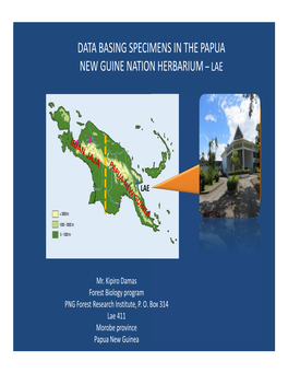 DATA BASING SPECIMENS in the PAPUA NEW GUINE NATION HERBARIUM– LAE (Kipiro Damas)