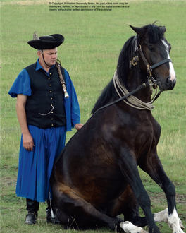 Horses of Eastern Europe and Russia the Following Breeds Span a Large Territory, Starting in Eastern Europe and Ending at the Edges of Siberia