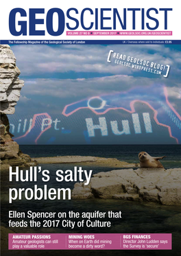 Hull's Salty Problem