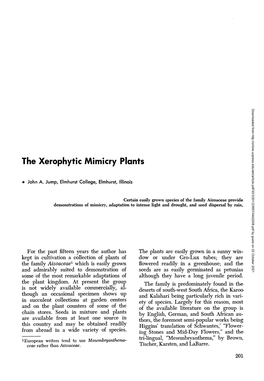 The Xerophytic Mimicry Plants