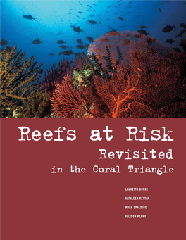 WRI) in Close Collaboration with the USAID-Funded Coral Triangle Support Partnership (CTSP)