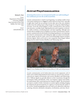 Animal Psychoacoustics