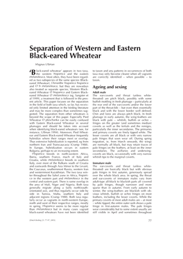 Separation of Western and Eastern Black-Eared Wheatear