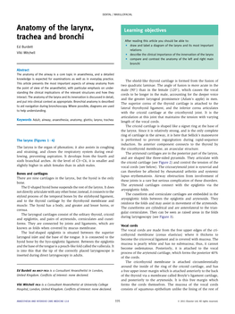 Anatomy of the Larynx, Trachea and Bronchi