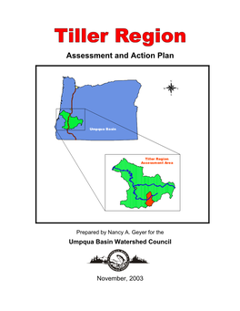 Tiller Region Assessment and Action Plan