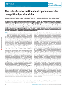 The Role of Conformational Entropy in Molecular Recognition by Calmodulin