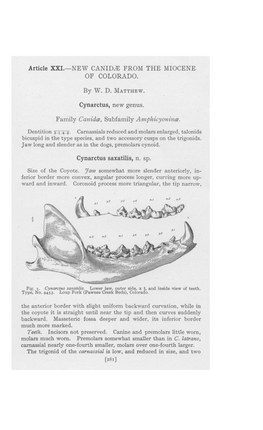 Article XX1.-NEW CANIDB from the MIOCENE of COLORADO