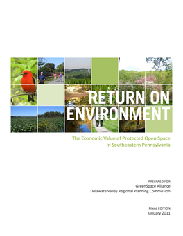 Return on Environment