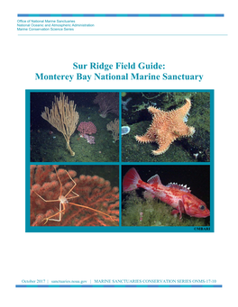 Sur Ridge Field Guide: Monterey Bay National Marine Sanctuary