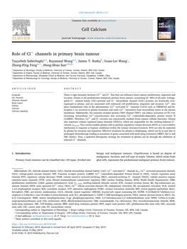 Role of Cl− Channels in Primary Brain Tumour