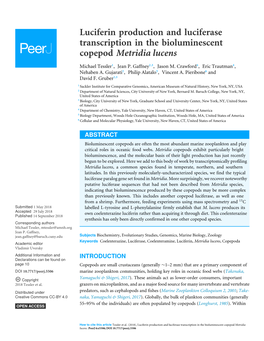 Luciferin Production and Luciferase Transcription in the Bioluminescent Copepod Metridia Lucens