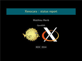 Xenocara : Status Report