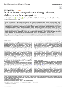 Small Molecules in Targeted Cancer Therapy: Advances, Challenges, and Future Perspectives