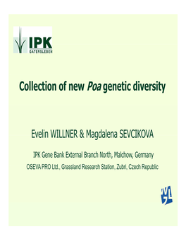 Collection of New Poa Genetic Diversity