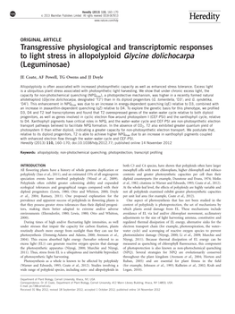 Transgressive Physiological and Transcriptomic Responses to Light Stress in Allopolyploid Glycine Dolichocarpa (Leguminosae)