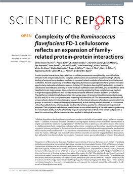 Complexity of the Ruminococcus Flavefaciens FD-1