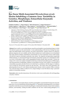 Rye Snow Mold-Associated Microdochium Nivale Strains Inhabiting a Common Area: Variability in Genetics, Morphotype, Extracellular Enzymatic Activities, and Virulence