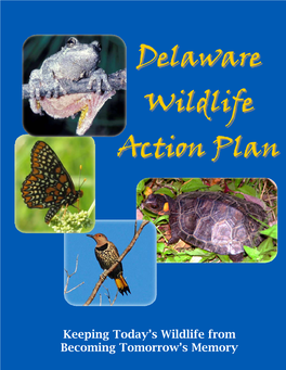 Delaware Wildlife Action Plan 2007 - 2017