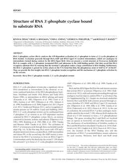 Phosphate Cyclase Bound to Substrate RNA