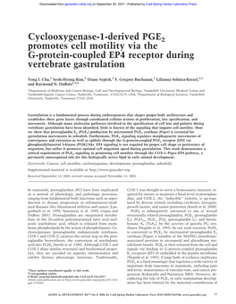 Cyclooxygenase-1-Derived PGE2 Promotes Cell Motility Via the G-Protein-Coupled EP4 Receptor During Vertebrate Gastrulation