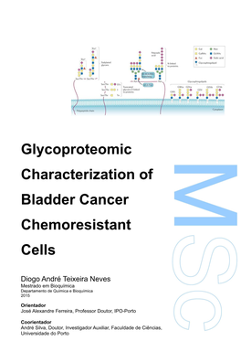 Glycoproteomic Characterization of Bladder Cancer Chemoresistant Cells
