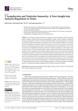 T Lymphocytes and Testicular Immunity: a New Insight Into Immune Regulation in Testes