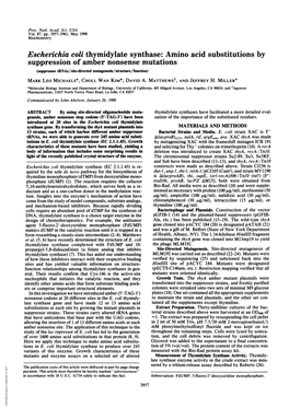 Escherichia Coli Thymidylate Synthase