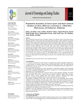 Population Dynamics of Insect Pests and Their Natural Enemies on Okra