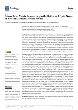Extracellular Matrix Remodeling in the Retina and Optic Nerve of a Novel Glaucoma Mouse Model