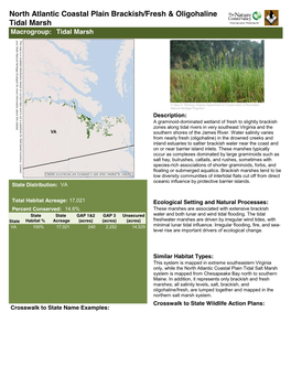 North Atlantic Coastal Plain Brackish/Fresh & Oligohaline Tidal