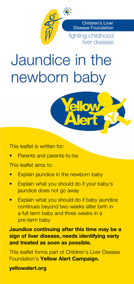 Jaundice in the Newborn Baby