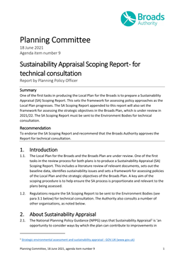 Sustainability Scoping Report