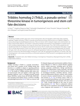 Tribbles Homolog 2 (Trib2), a Pseudo Serine/Threonine Kinase In