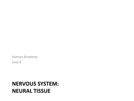 NERVOUS SYSTEM: NEURAL TISSUE in Anatomy Today Nervous System Overview • Includes All Neural Tissue in the Body • 2 Divisions 1